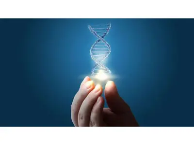 Russian scientists develop unique DNA sensor to assess protective effect of antioxidants in beverages