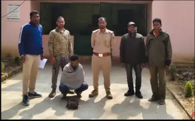 Forest department arrests man for setting traps in Balikiari Wildlife Area