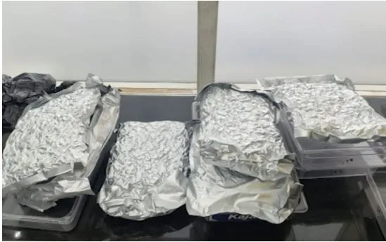 Imported quality Marijuana seized from BPI Airport Bhubaneswar: Passenger detained

