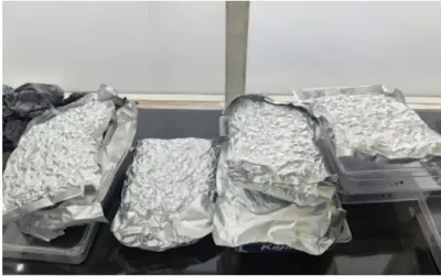 Imported quality Marijuana seized from BPI Airport Bhubaneswar: Passenger detained