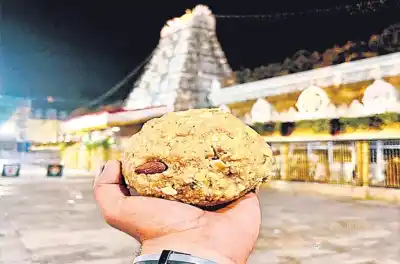 CBI Chargesheet Reveals Vegetable Oil Adulteration in Tirupati Laddu Ruling Out Animal Fat