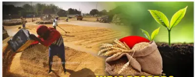 Farmers Look to Budget 2026-27 for Relief and Assurance