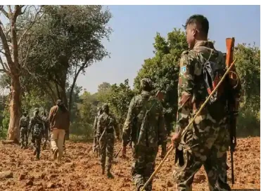 256 Naxals killed in Chhattisgarh's Bastar region in 2025 