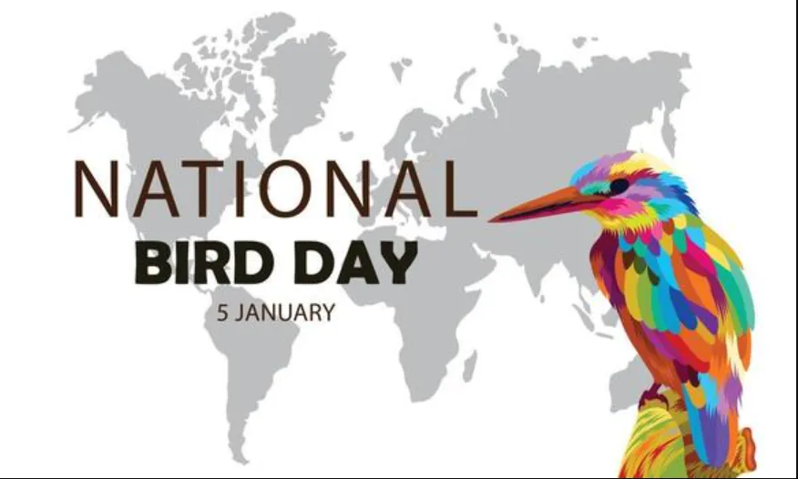 National Bird Day: History, significance, and ways to observe