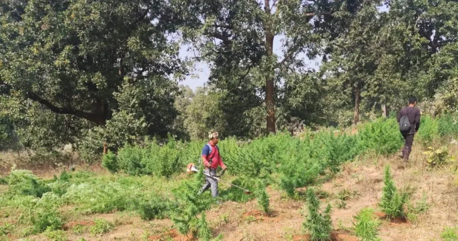 lovebird-couple-found-dead-in-koraput-village