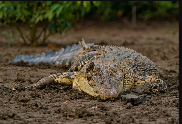 naveen-appoints-14-bjd-leaders-as-party-spokespersons-2