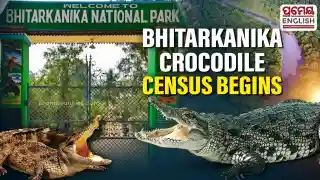Bhitarkanika National Park to conduct crocodile census, Tourists restricted Jan 8–10