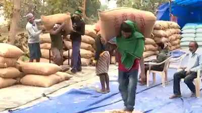 Odisha’s Paddy Procurement kicks off smoothly, over 3 lakh farmers benefit