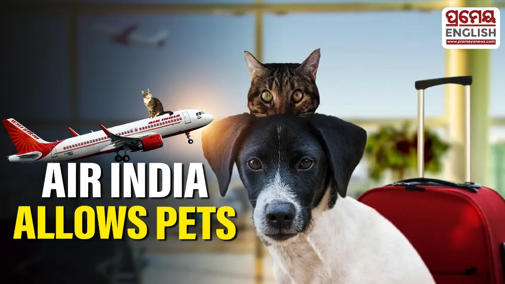 Air India Pet Policy