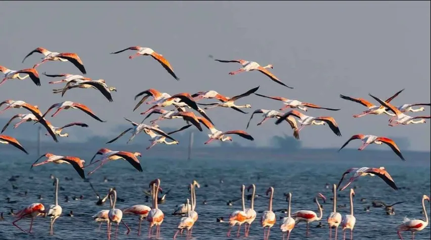 egypt-unveils-100-ancient-wooden-coffins