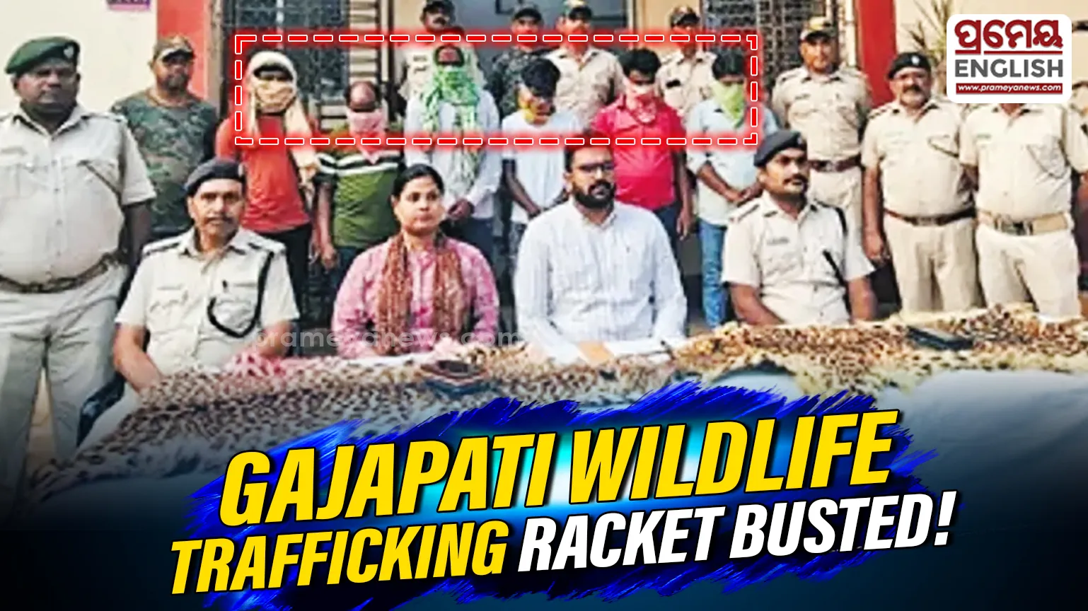 Gajapati forest division busts suspected wildlife trafficking network, arrests six