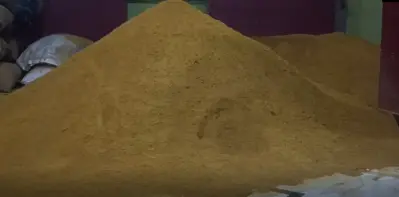 Fake spice factory busted in Berhampur; over 30 tonnes of products seized