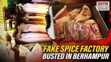 Fake spice factory busted in Berhampur; over 30 tonnes of products seized