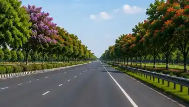 Greener highways: NHAI plants 5.20 lakh saplings across Odisha in four months
