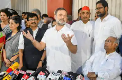 ‘Constitution Torn Up, Fighting to Restore Democracy’: Rahul Gandhi