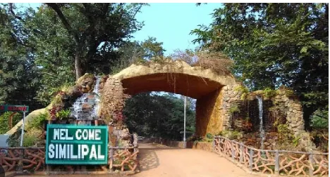 Odisha: Similipal Tiger Reserve to reopen for tourists from November 1