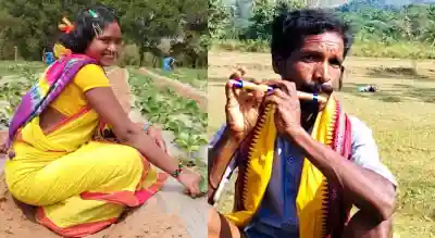 The rich heritage & fragile livelihoods of Kutia Kandhas
