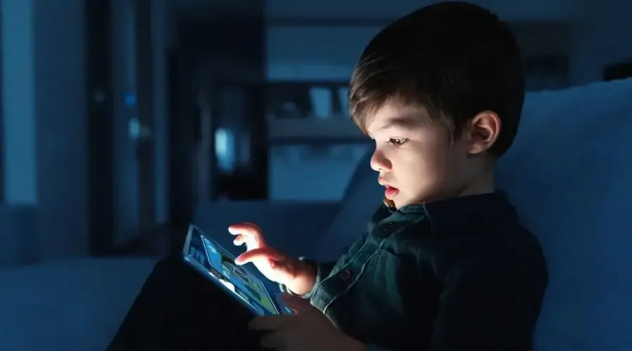 Supreme Court blocks blanket ban on kids internet use to protect fundamental rights