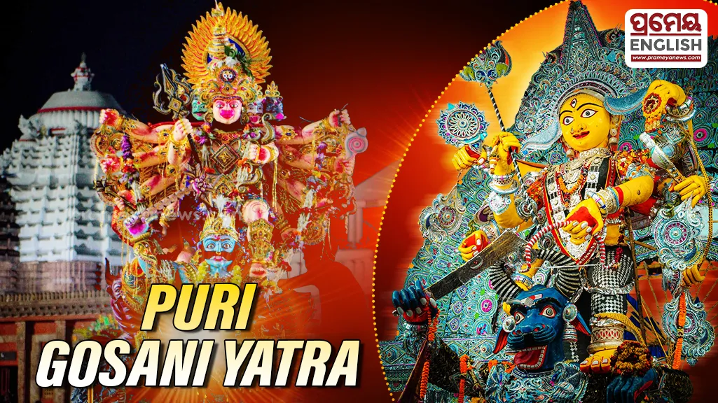 Puri Gosani Yatra: Grand idols, sacred rituals & devotion fill Srikshetra

