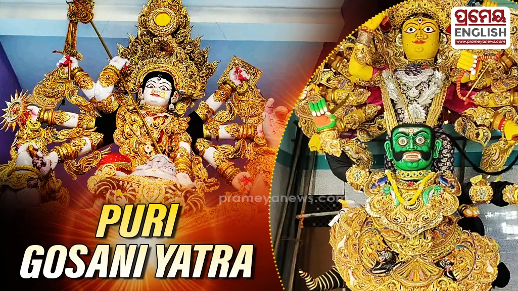 The holy city of Puri is glowing with devotion and festive splendour as the traditional Gosani Yatra