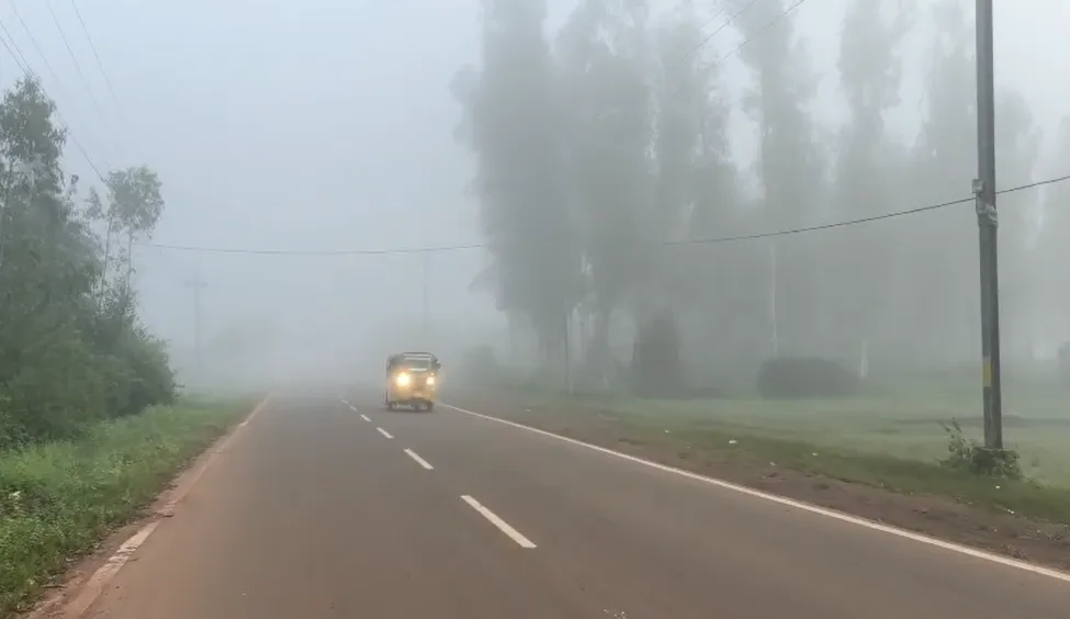 Cold wave in Koraput: Temperature dips below 13°C in Lamtaput amid dense fog