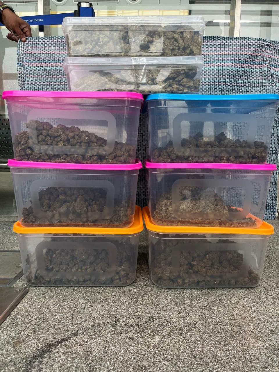 Hydroponic cannabis worth crores seized at Bhubaneswar Airport; three detained