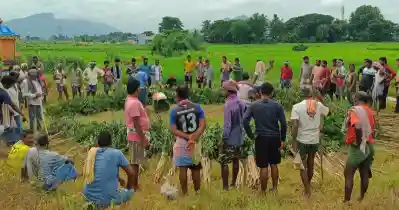 Farmers uphold age-old ritual for bountiful harvest