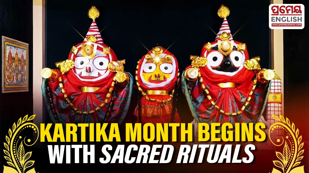 As part of the Radha Damodar Besha, Lord Balabhadra and Lord Jagannath will wear traditional Trikachha attire, along with golden ornaments known as Suvarnatali on their arms. The deities will also be adorned with various gold ornaments, Baralagi silk garments, floral decorations, Phuta Srikapada and Uttariya
