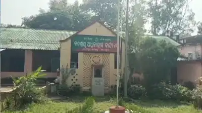 Elephant dies of electrocution in Handapa Forest Range in Angul Ddstrict