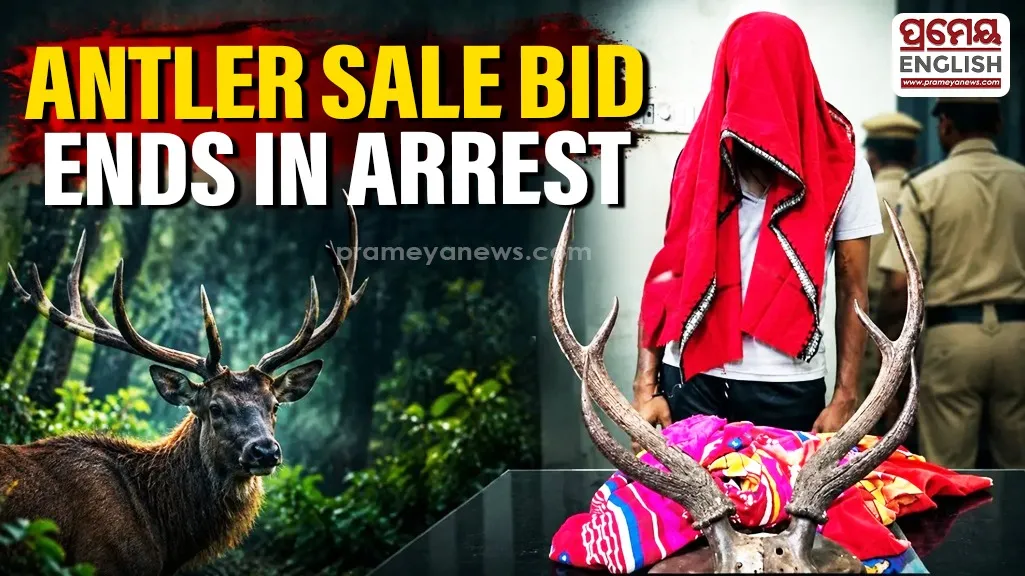 Former Merchant Navy Engineer arrested for alleged wildlife trafficking in Bhubaneswar