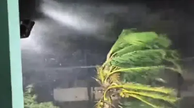 Cyclone Arnab makes landfall at night, wreaks havoc in Andhra Pradesh