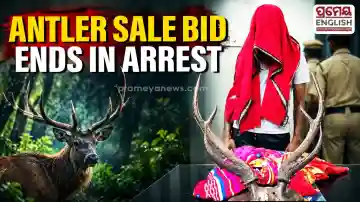 Former Merchant Navy Engineer arrested for alleged wildlife trafficking in Bhubaneswar