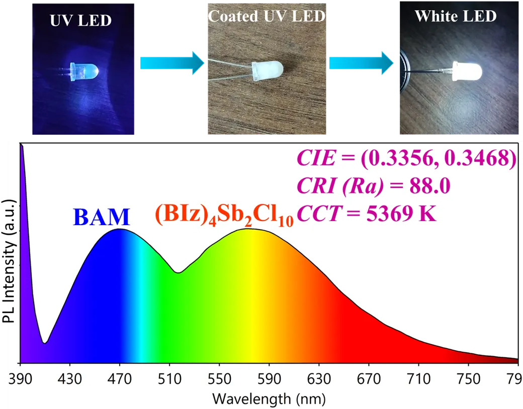 NIT Rourkela scientists develop lead-free light-emitting materials