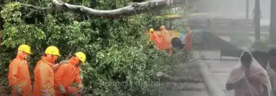 Cyclone Arnab kills 8 in Andhra Pradesh; Heavy rain alert in Odisha, 8 other states