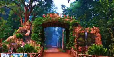 Odisha govt to install 300 more AI-powered cameras in Similipal to curb wildlife poaching
