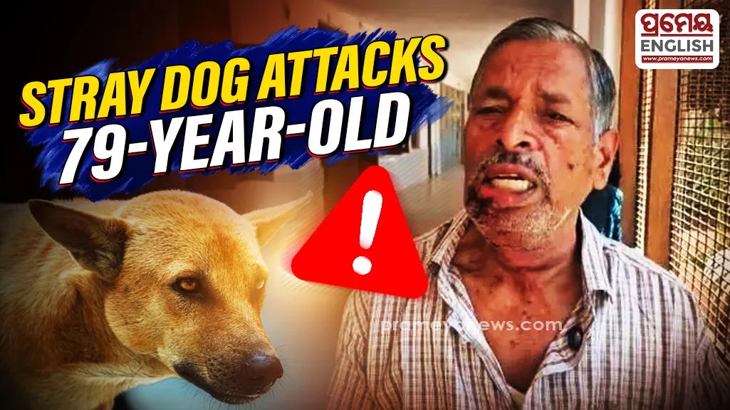Stray dog attacks 79-year-old retired teacher during evening walk in Odisha