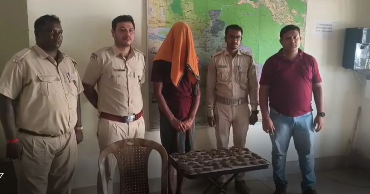 Odisha Pangolin Trade Crackdown: 187 Scales Seized in Angul, One Held