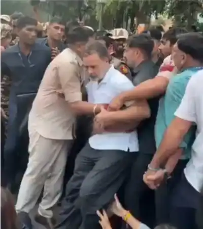 Protest turns tense as Rahul Gandhi, INDIA Bloc MPs try to cross barricades; Delhi police push back