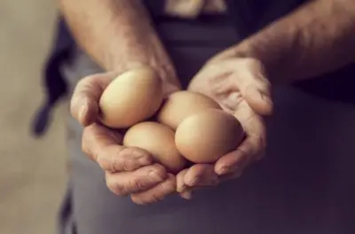 World Egg Day 2026: Why an egg a day deserves a place on your plate!