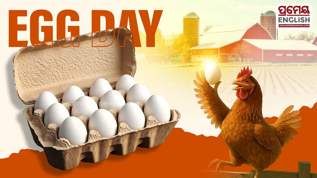World Egg Day 2026: Why an egg a day deserves a place on your plate!