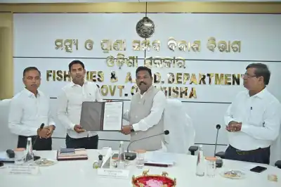 Odisha launches commercial layer farming scheme with subsidies of up to Rs 10 crore