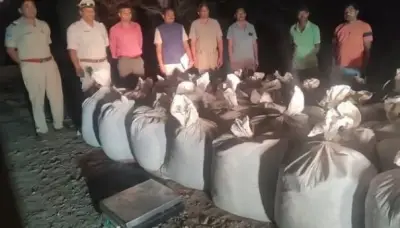 2 Andhra-based smugglers among 4 nabbed in Malkangiri while extracting green oil from cannabis