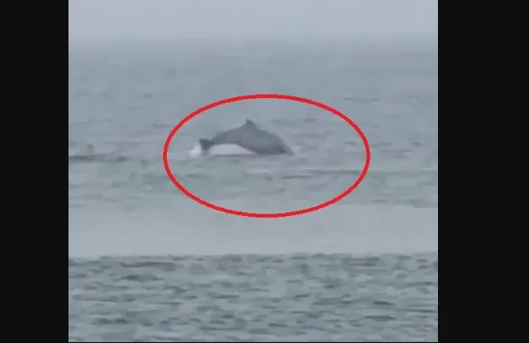 horoscope-today-astrological-prediction-for-july-5-2024