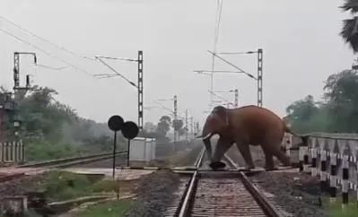 odia-actor-sabyasachi-mishra-to-tie-knot-with-archita-on-monday