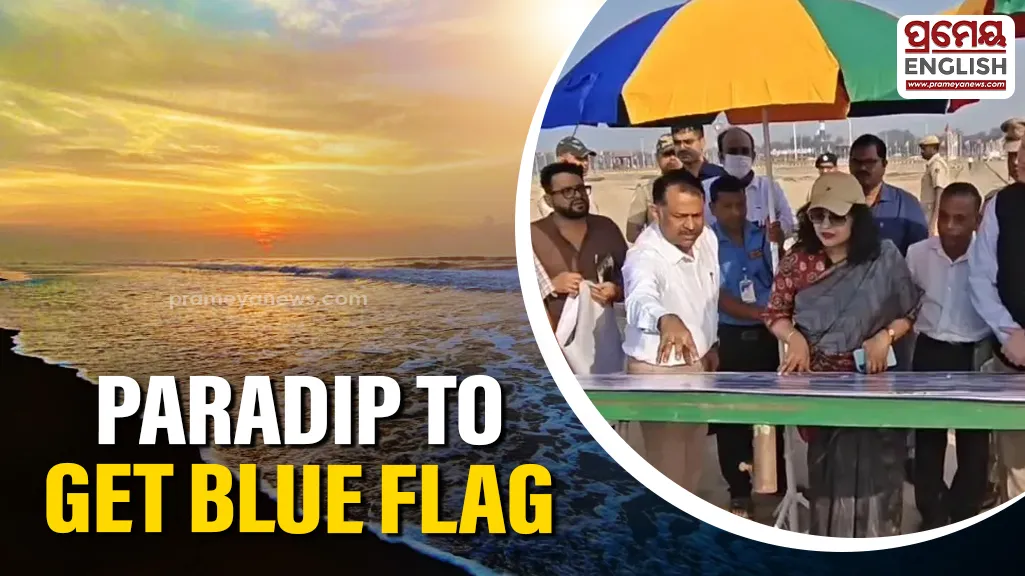 back-on-field-pandya-gets-2-wickets-in-dy-patil-t20-cup