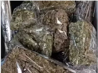 kejriwal-govt-recommends-ending-weekend-curfews