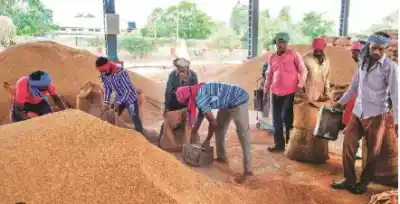 Odisha Govt procured 58.84 lakh tonnes of paddy in Kharif 2025-26 season: Minister