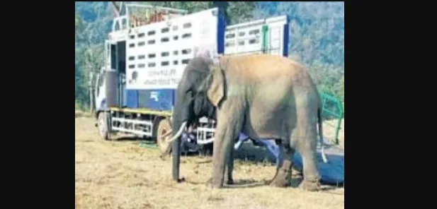 mahesh-bhatt-to-take-legal-action-against-luviena-lodh-over-video-alleging-harrassment