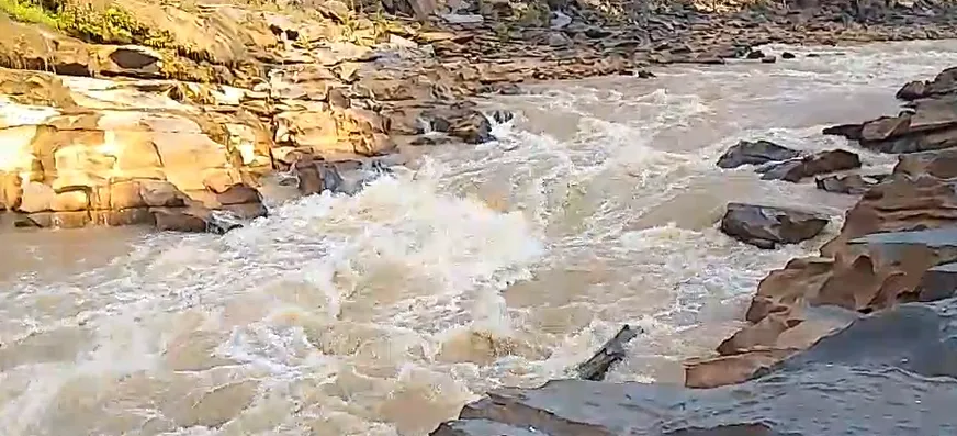 lulu-mohapatras-7th-death-anniversary-observed-with-a-series-of-activities-