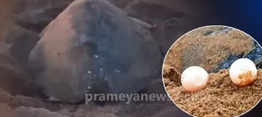 decent-attire-mandatory-for-devotees-entering-puri-jagannath-temple-